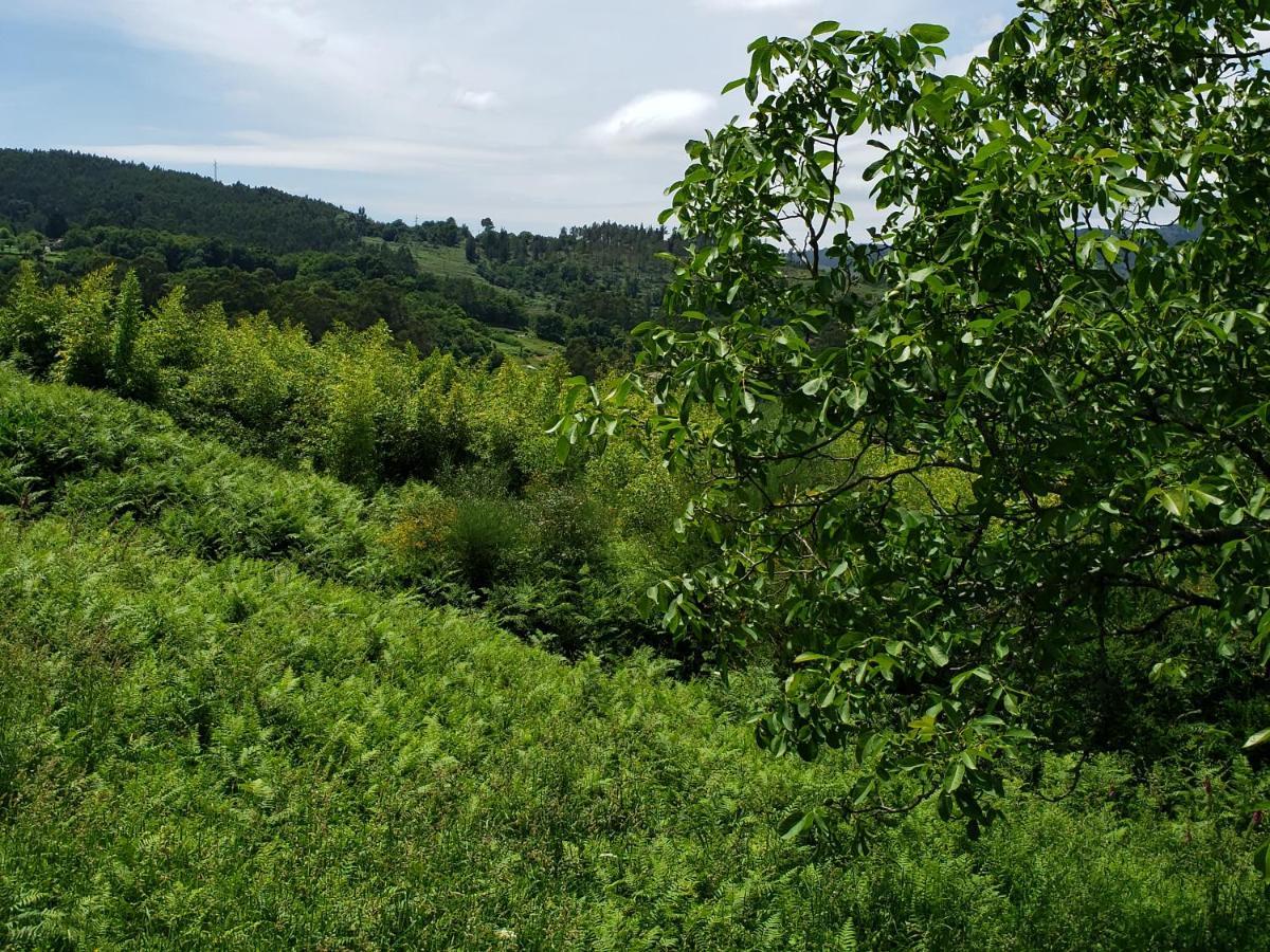폰테베드라 Casa Rural Do Fontan 게스트하우스 외부 사진