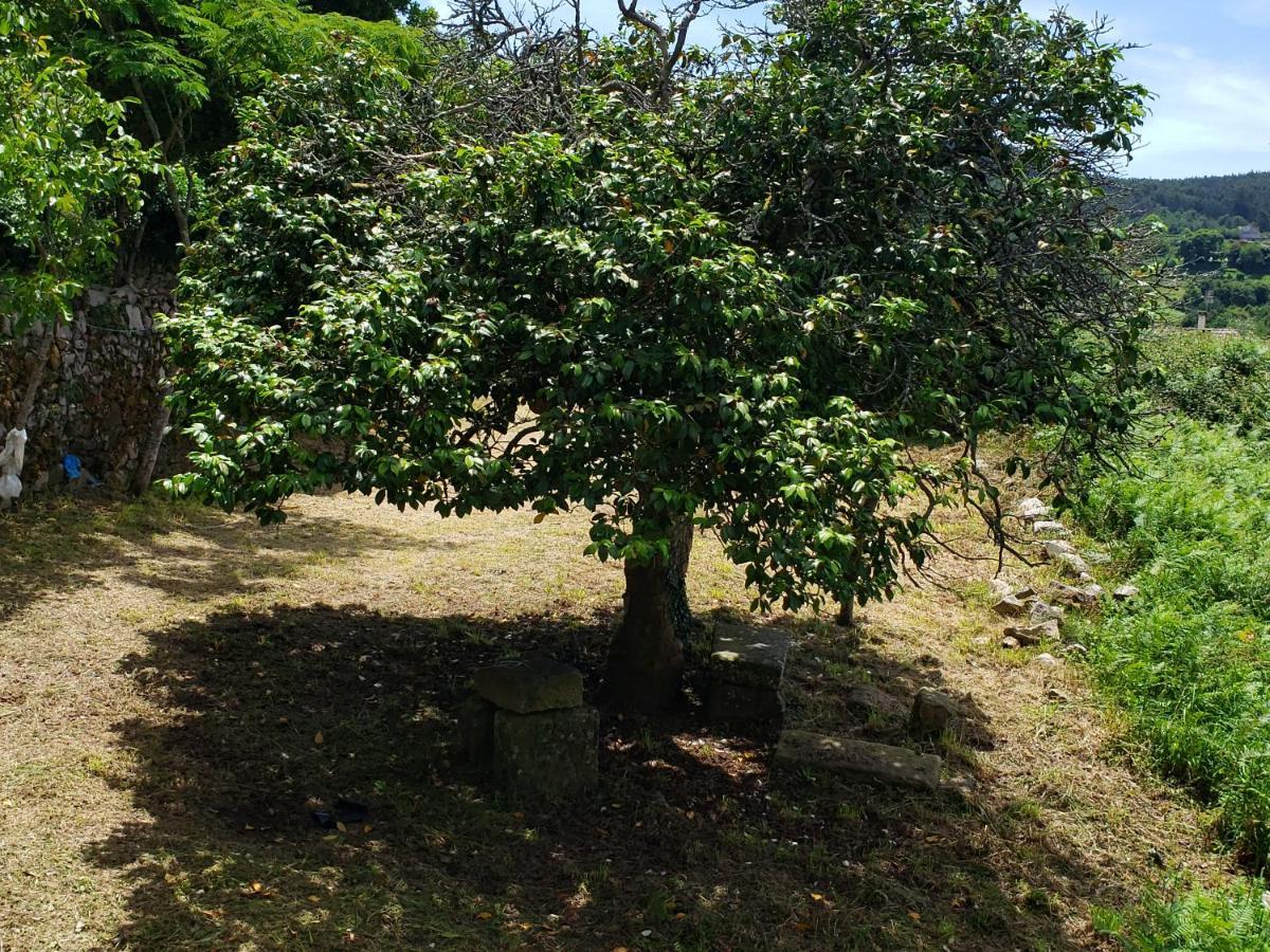 폰테베드라 Casa Rural Do Fontan 게스트하우스 외부 사진